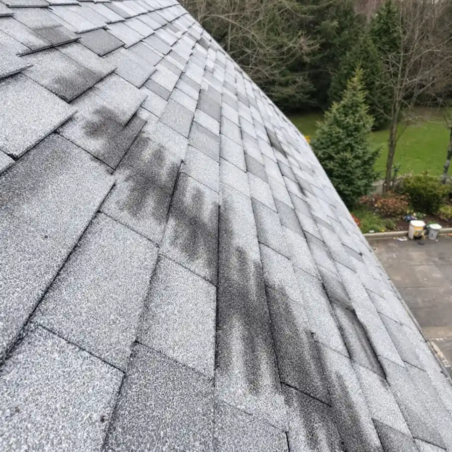 Asphalt shingle slope with broad dark grey and black stains running down from the ridge toward the eave