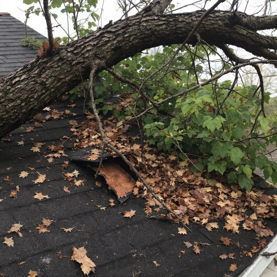 Broken tree limb resting across a residential asphalt shingle roof with crushed shingles and exposed decking beneath it